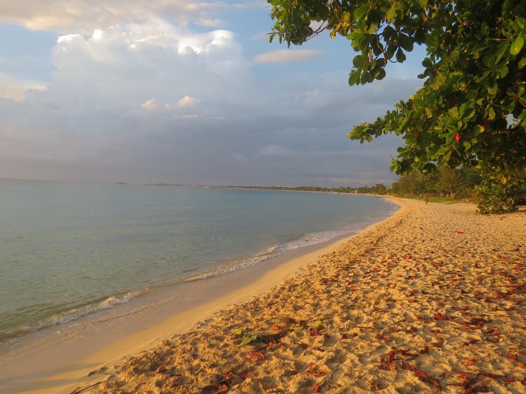 Bed and Breakfast The Retreat @ A Piece Of Paradise Montego Bay Exteriér fotografie